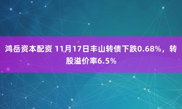 鸿岳资本配资 11月17日丰山转债下跌0.68%，转股溢价率6.5%