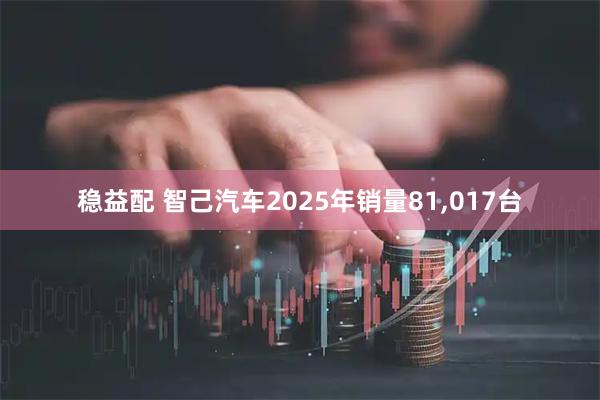 稳益配 智己汽车2025年销量81,017台